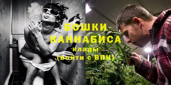 шишки Аркадак