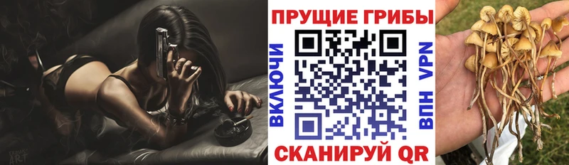 мориарти какой сайт  ОМГ ОМГ ТОР  Лянтор  Галлюциногенные грибы ЛСД 