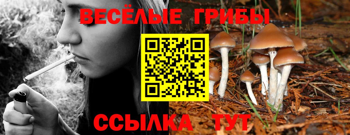 наркотики  Псилоцибиновые грибы ЛСД  Вход с VPN  Лянтор 